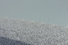 IMG_2765